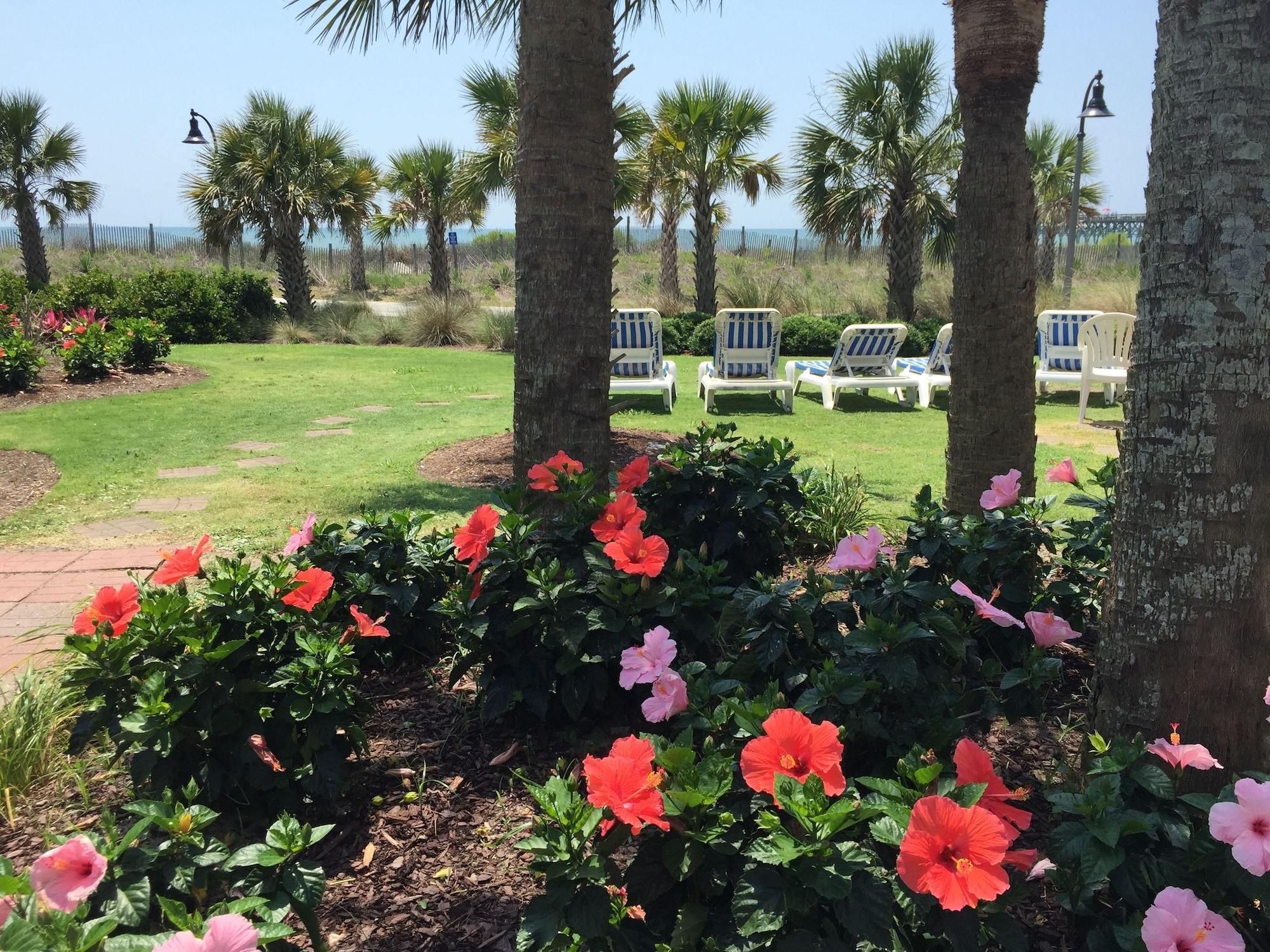 Vista Exterior Windsurfer Hotel