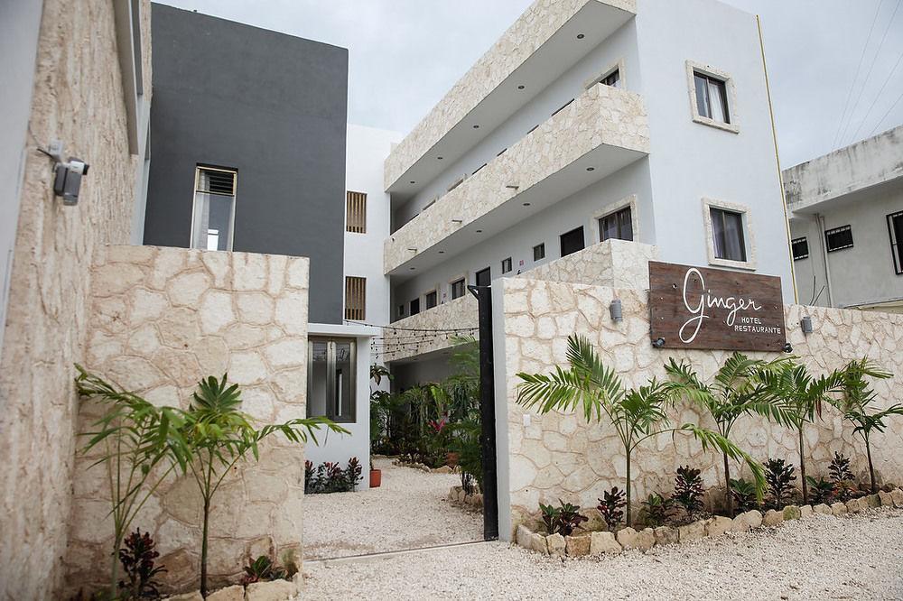 Vista Exterior Ginger Hotel