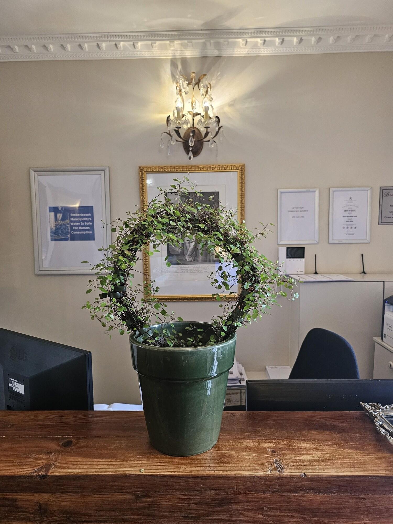 Vista Exterior Baruch Guesthouse on Lovell