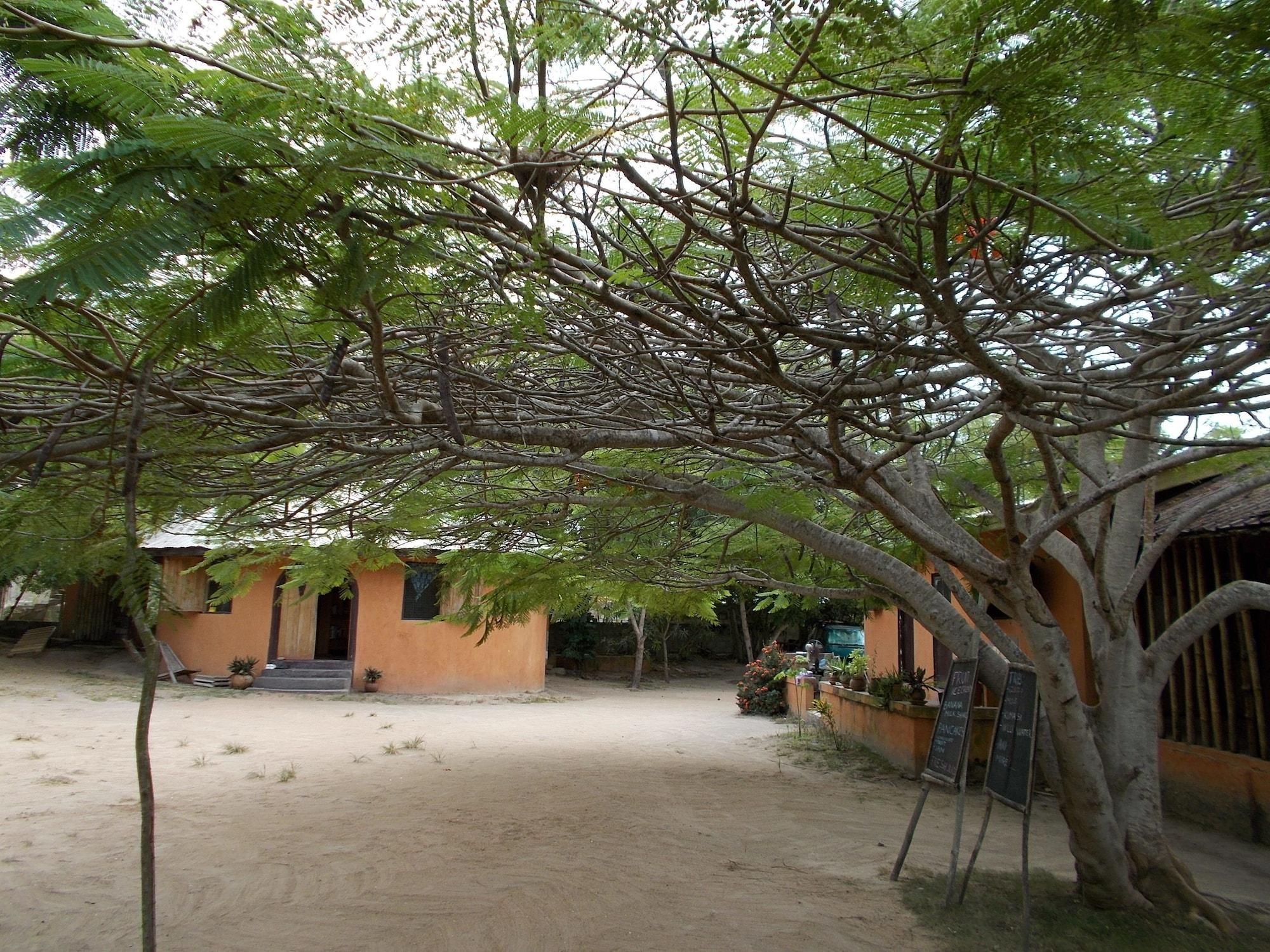 Vista Lobby Barbara's Village