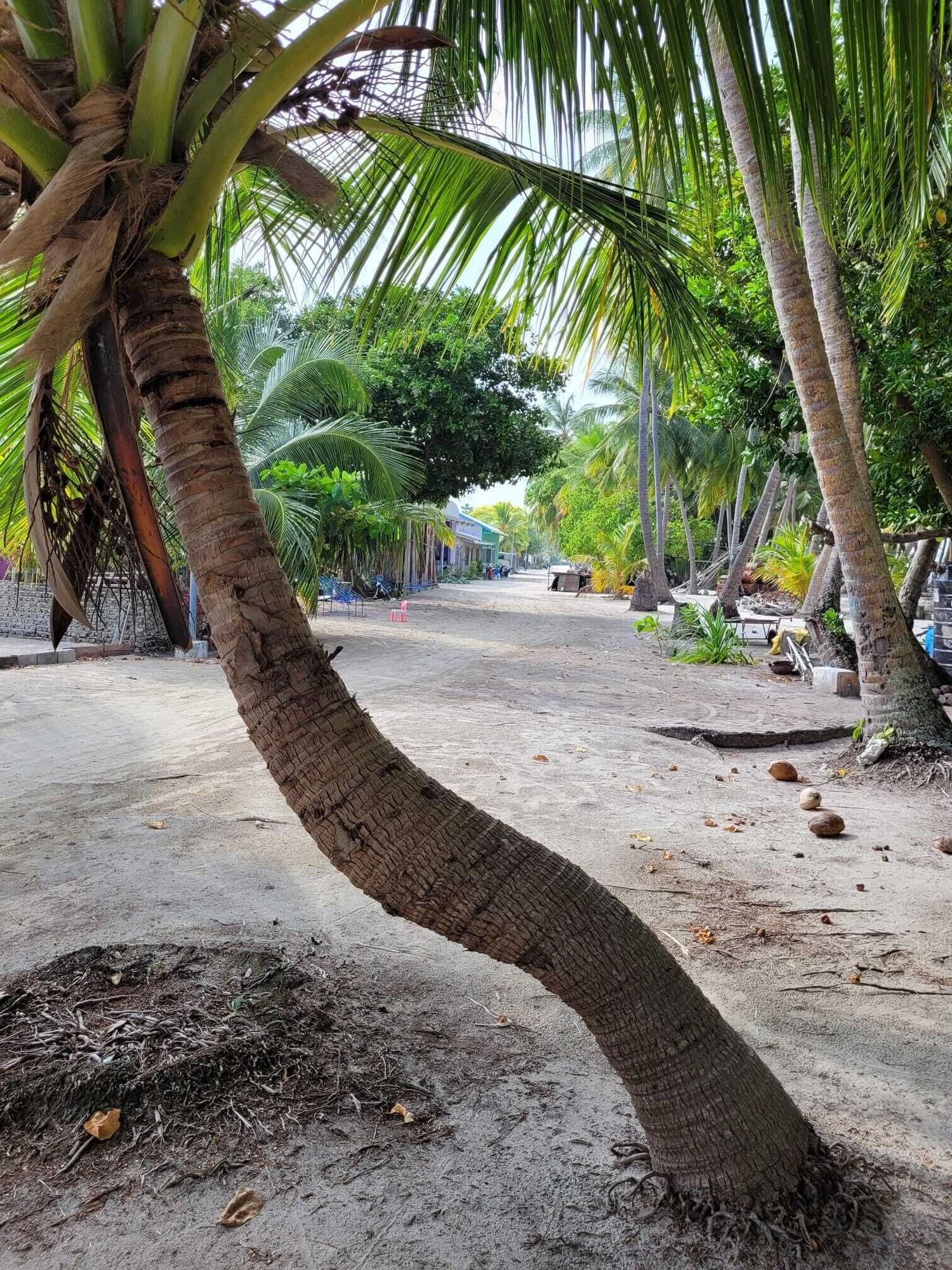 Equipamiento de Habitación Fehi Velaa Stay