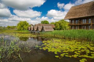 Actividad - Excursión de día completo al delta del Danubio desde Bucarest
