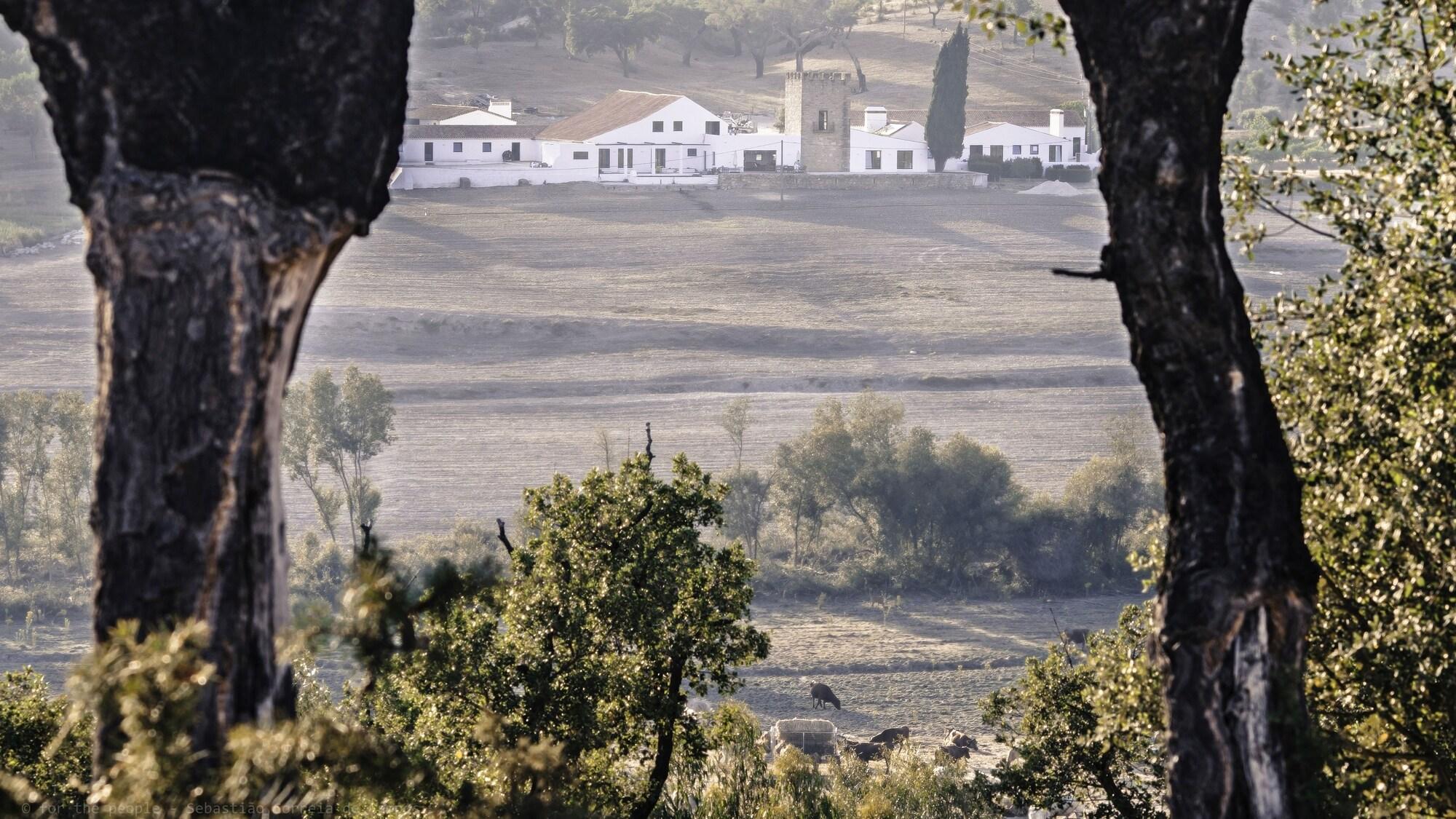 Varios Herdade da Maxuqueira