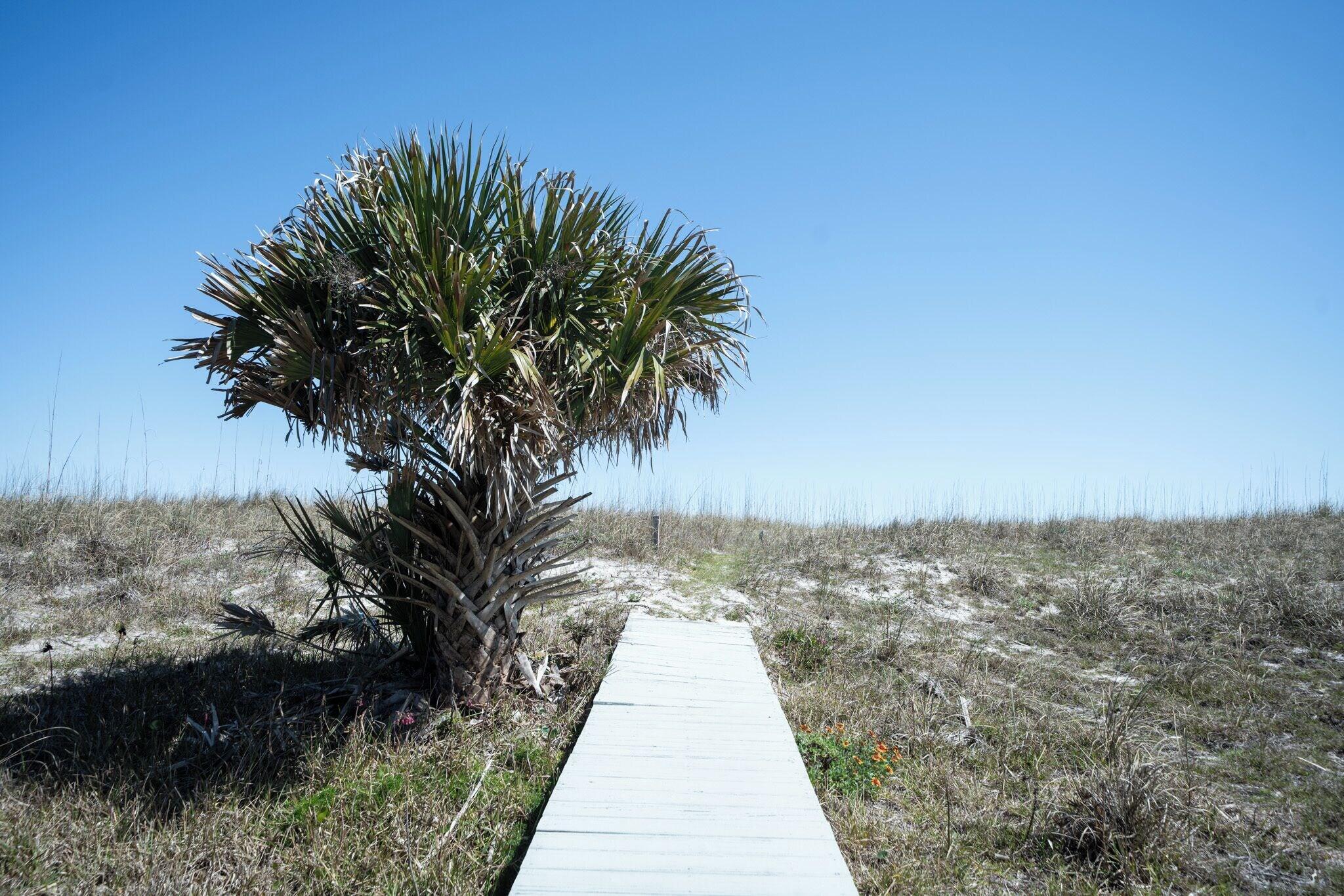 Vista Exterior Elizabeth Pointe Lodge