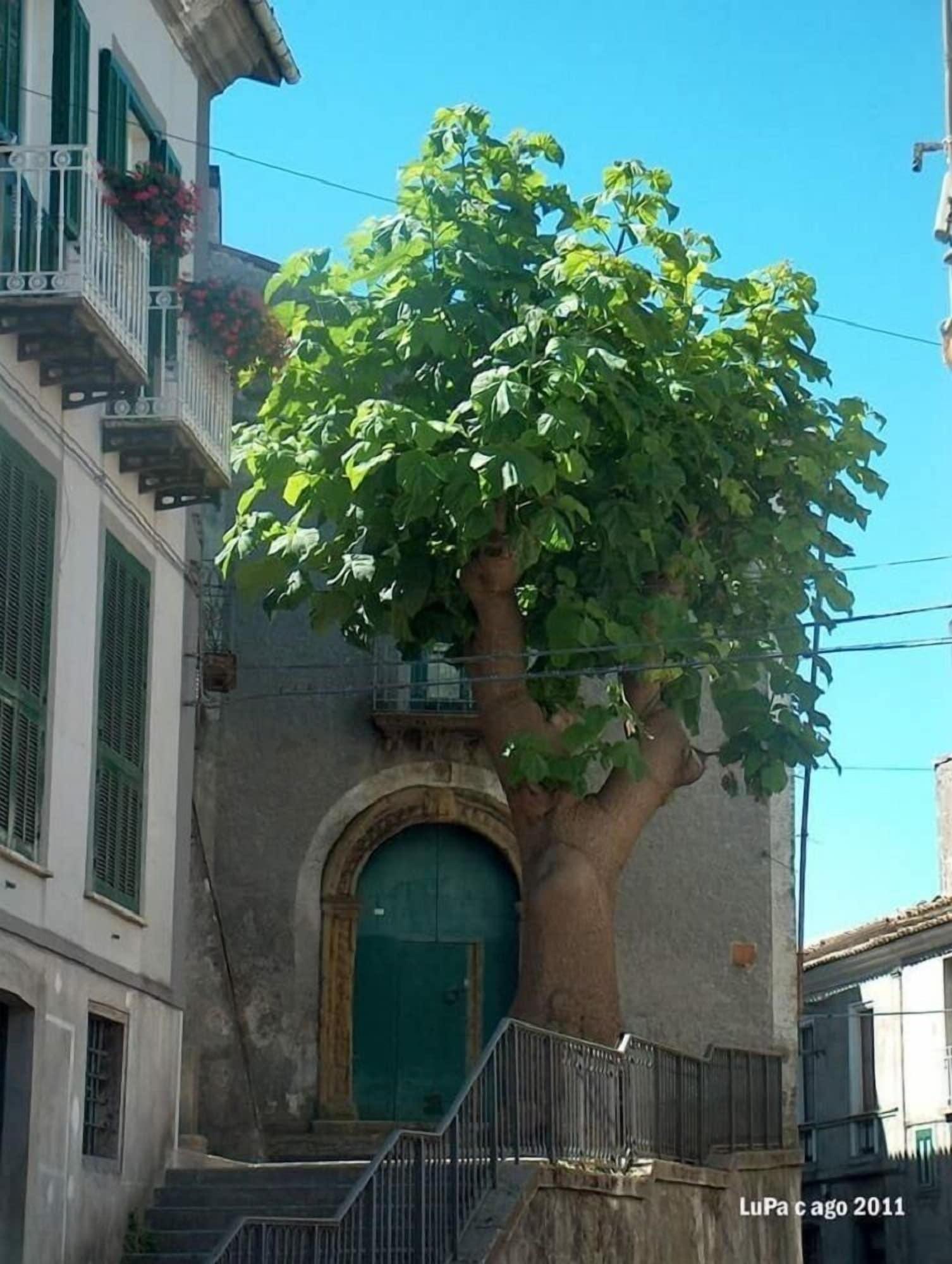 Vista Exterior La Casetta di Renato