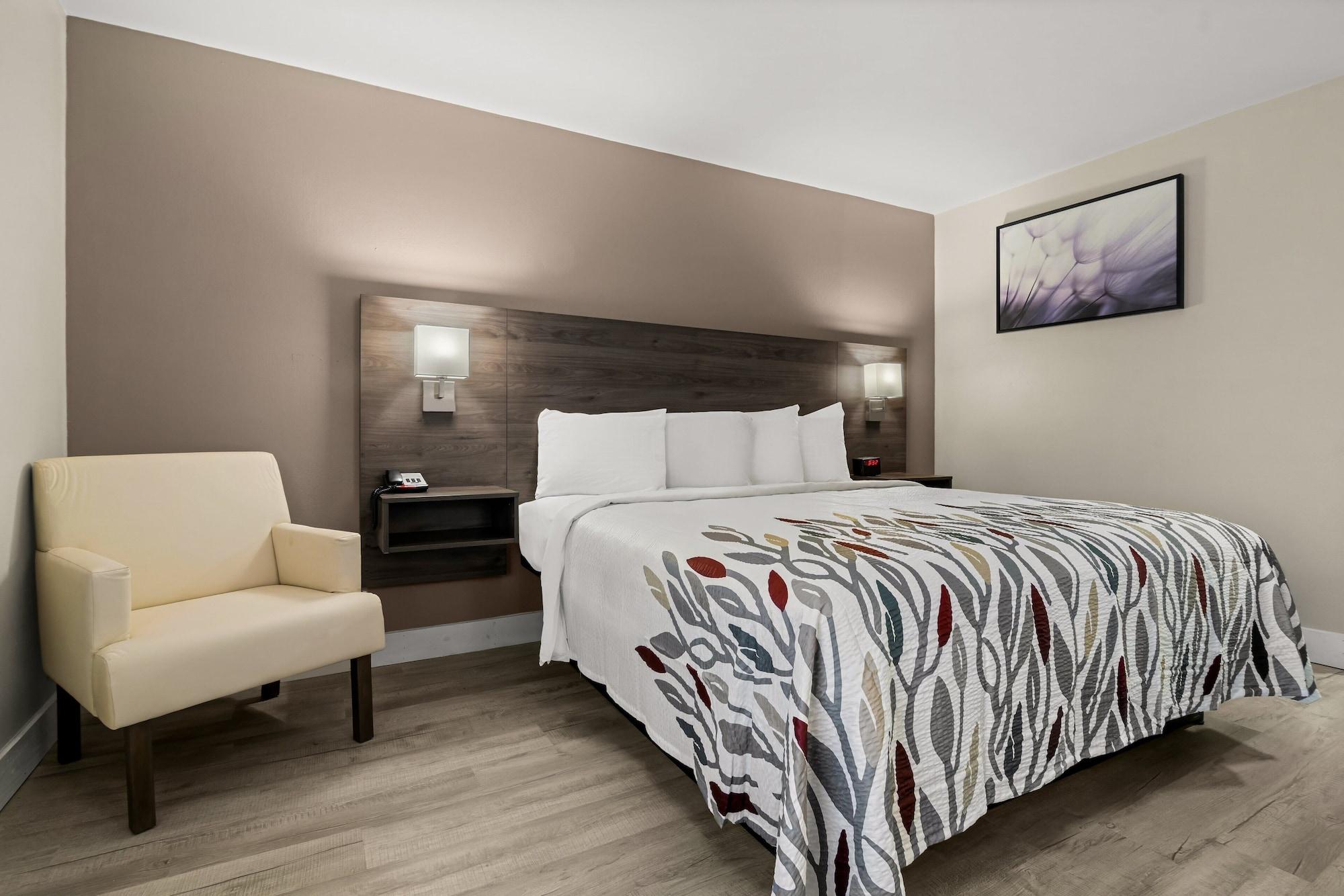 Habitación Red Roof Inn Washington, NC