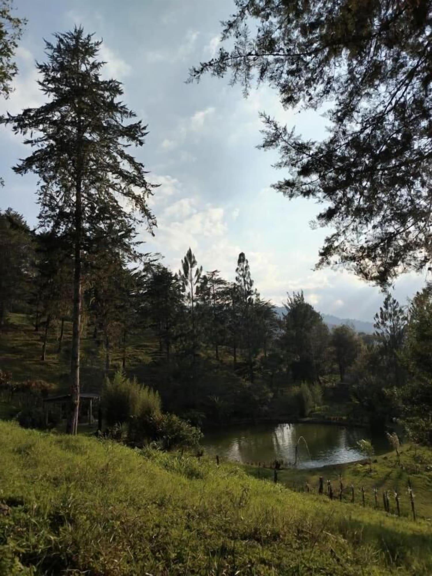 Vista Exterior Bhoga Forest Orosi