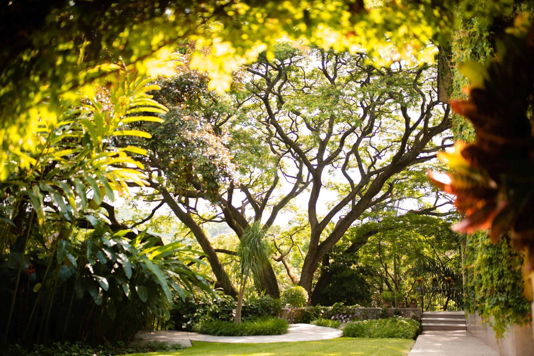 Varios Rancho La Joya