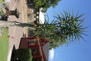 Alojamiento - Gumtree Guest House