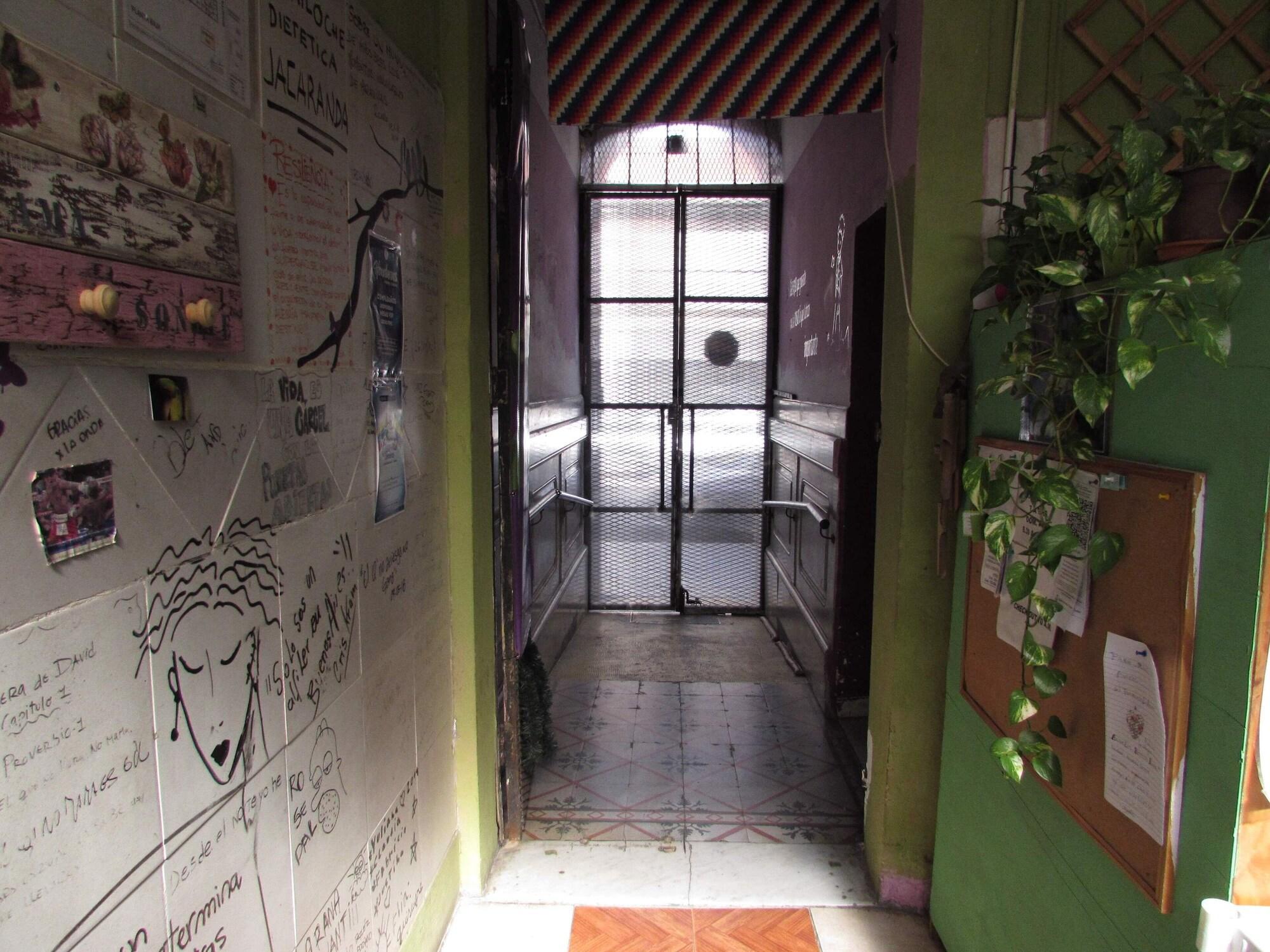 Vista Lobby Hospedaje La Rana