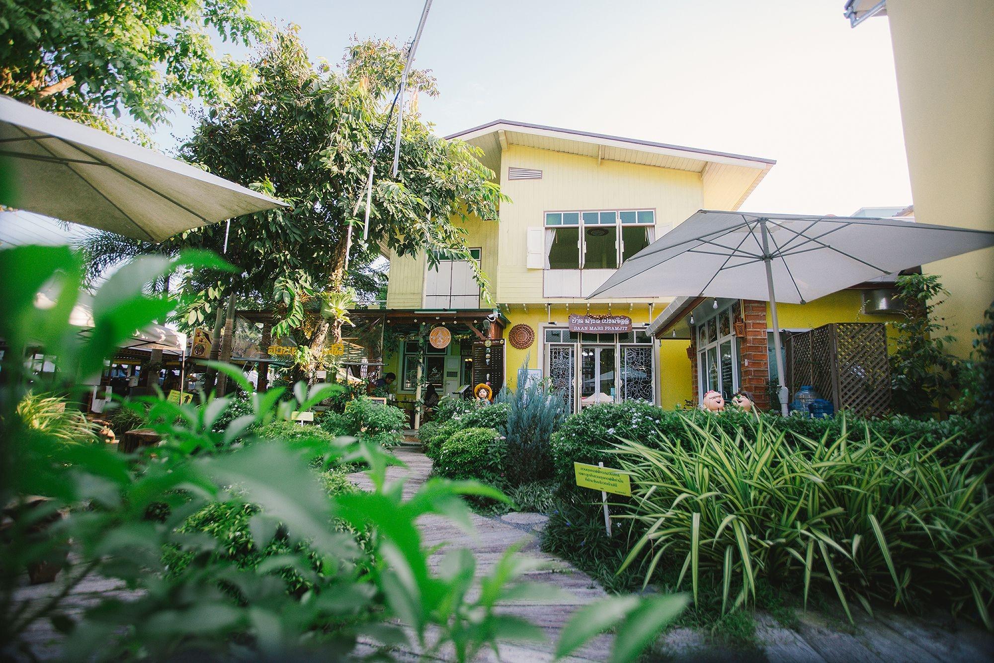 Varios Suan Tung Coffee