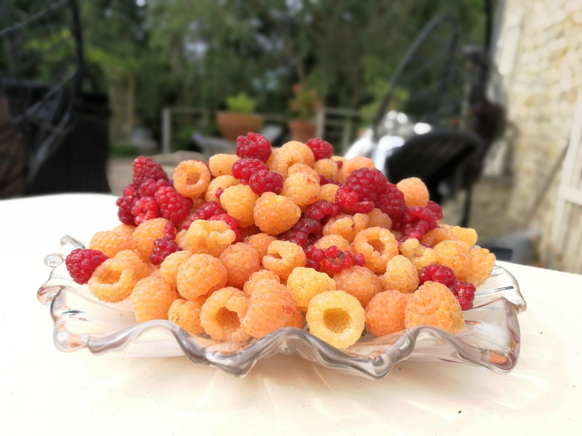 Restaurant Les Chambres de Capucine