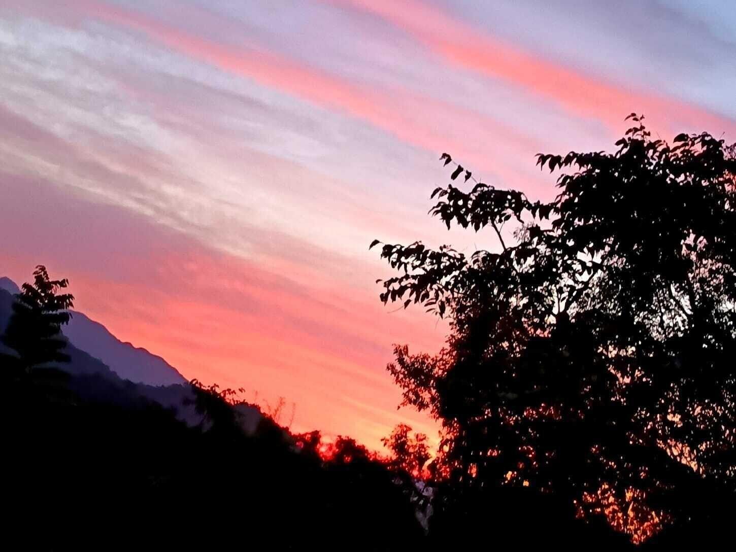 Varios Minca Seasons Birds