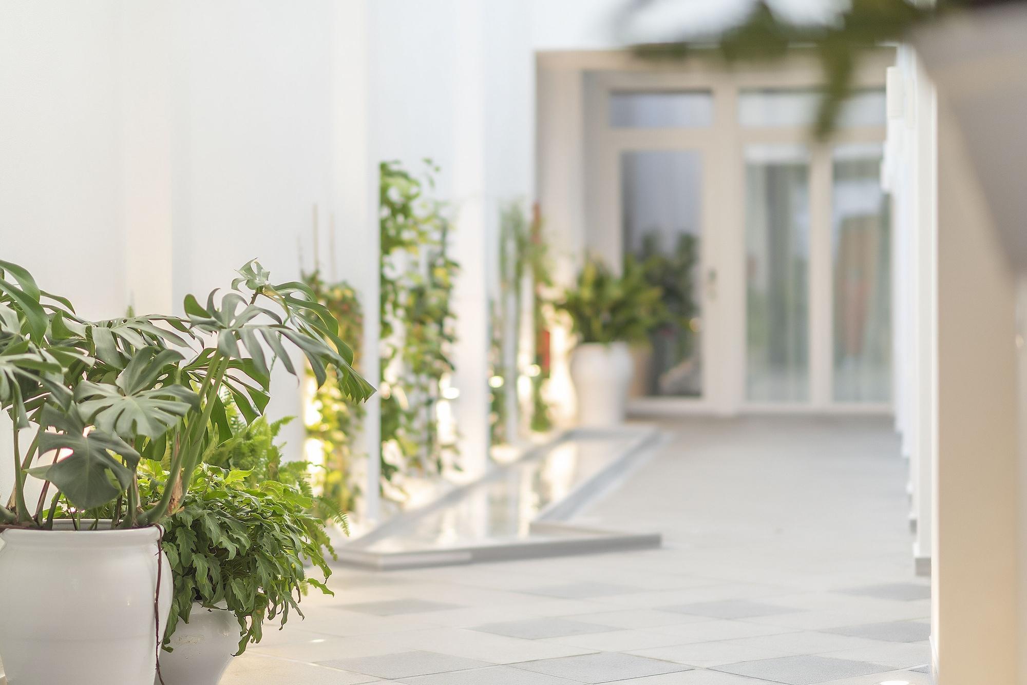 Vista Exterior Alzocaire Boutique
