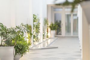 Alojamiento - Alzocaire Boutique
