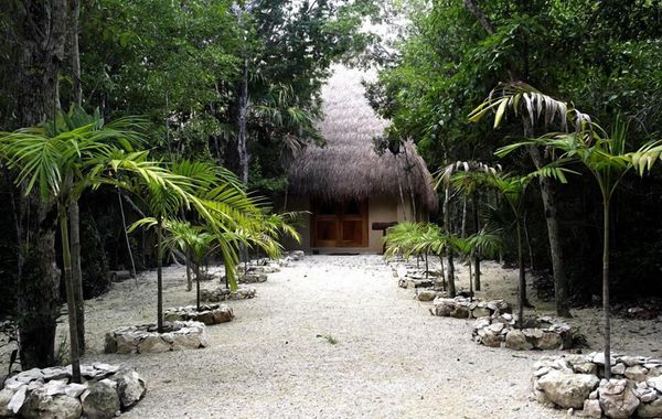 Raíces del Cielo Oasis Holístico - Hoteles con desayuno en Puerto Morelos, México