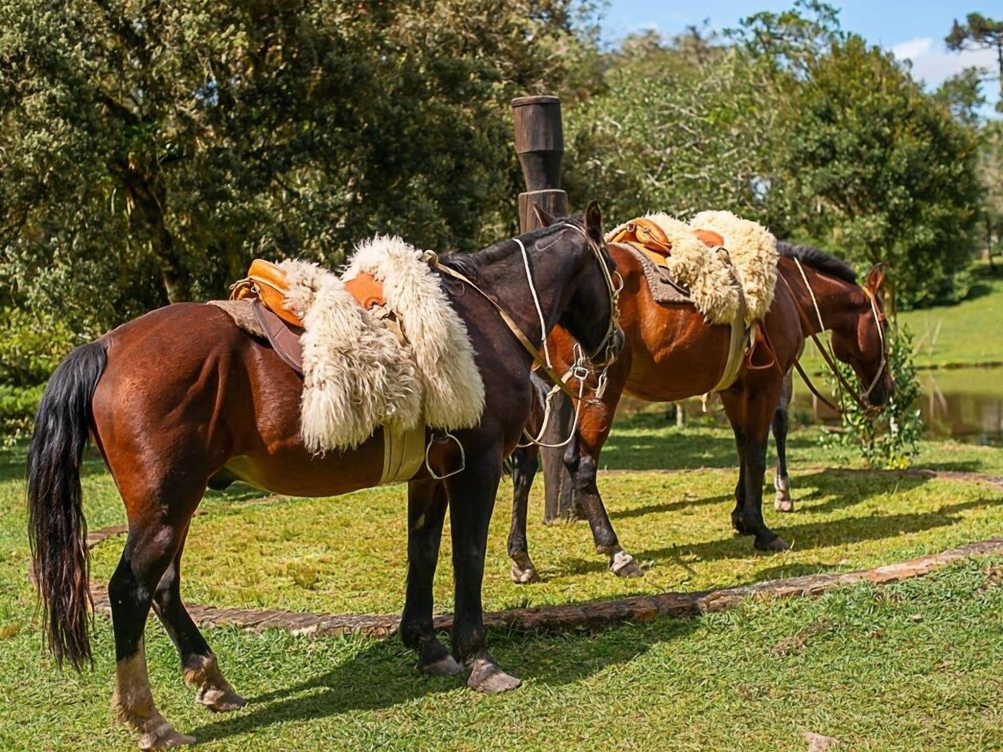 Instalaciones Recreativas Aires de Patagônia Pousada