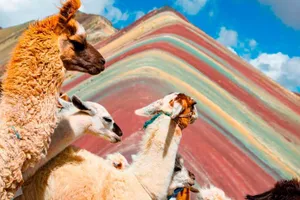 Actividad - Excursión de día completo a la Montaña Arcoíris y el Valle Rojo