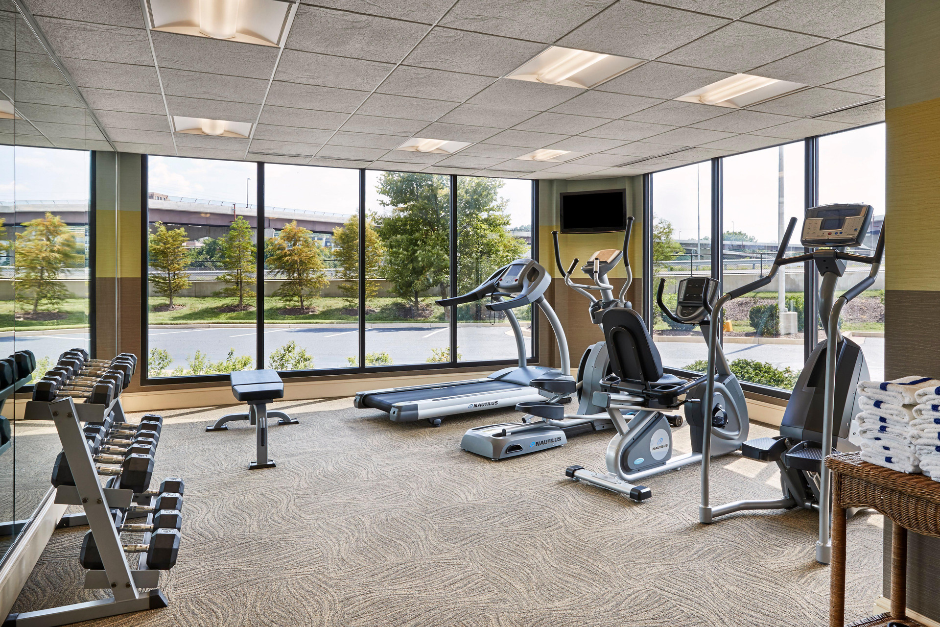 Instalaciones Recreativas Holiday Inn Alexandria at Carlyle by IHG