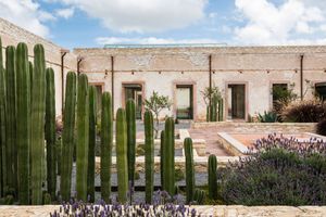 Actividad - Tour a Mineral de pozos en Guanajuato