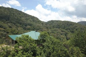 Alojamiento - Gorilla Hills Eco Lodge