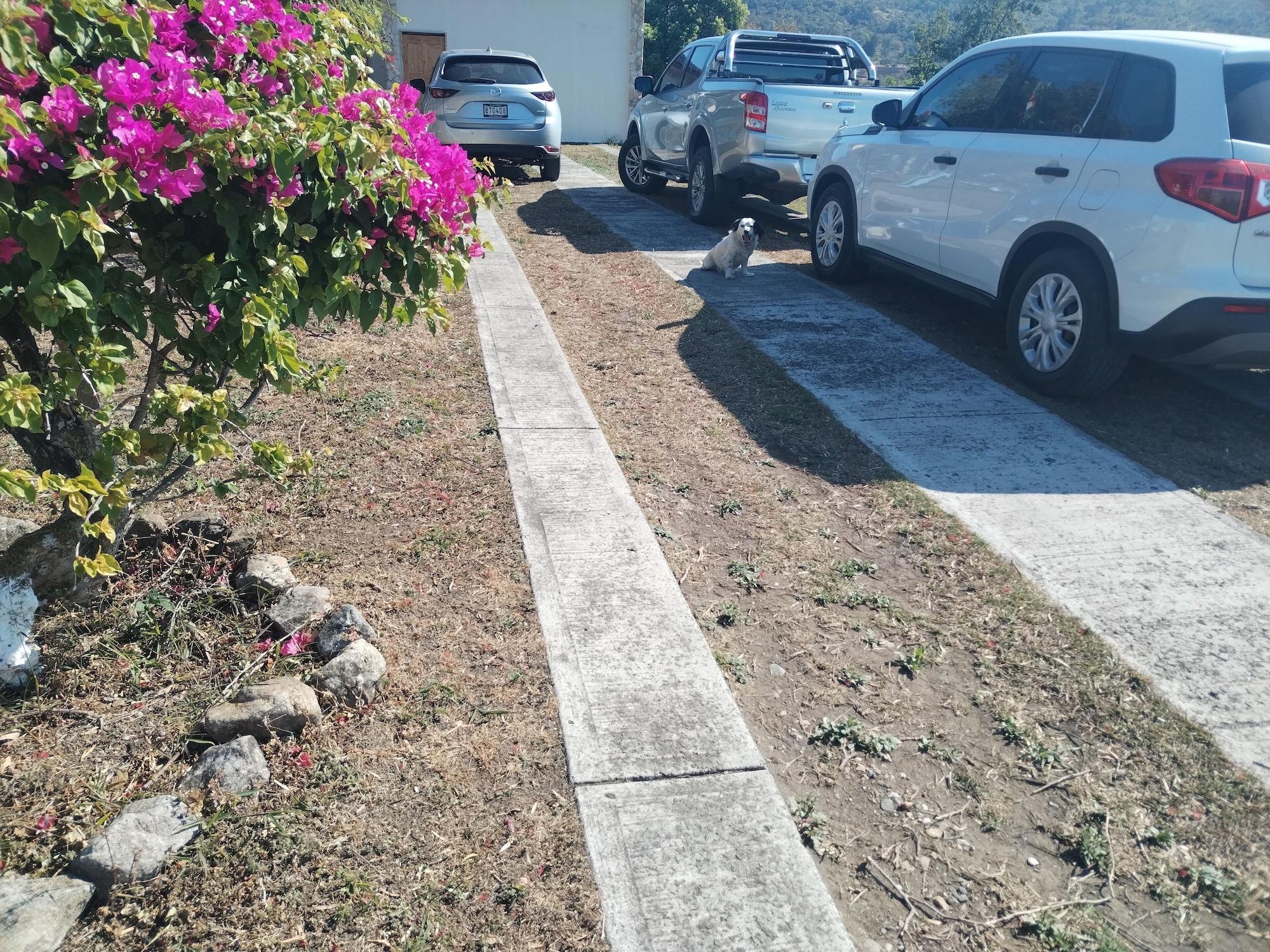 Vista Exterior Campestre House - Hostel