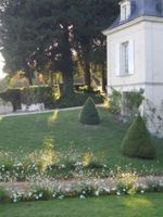 Alojamiento - Chambres d'hôtes - Château de la Plante
