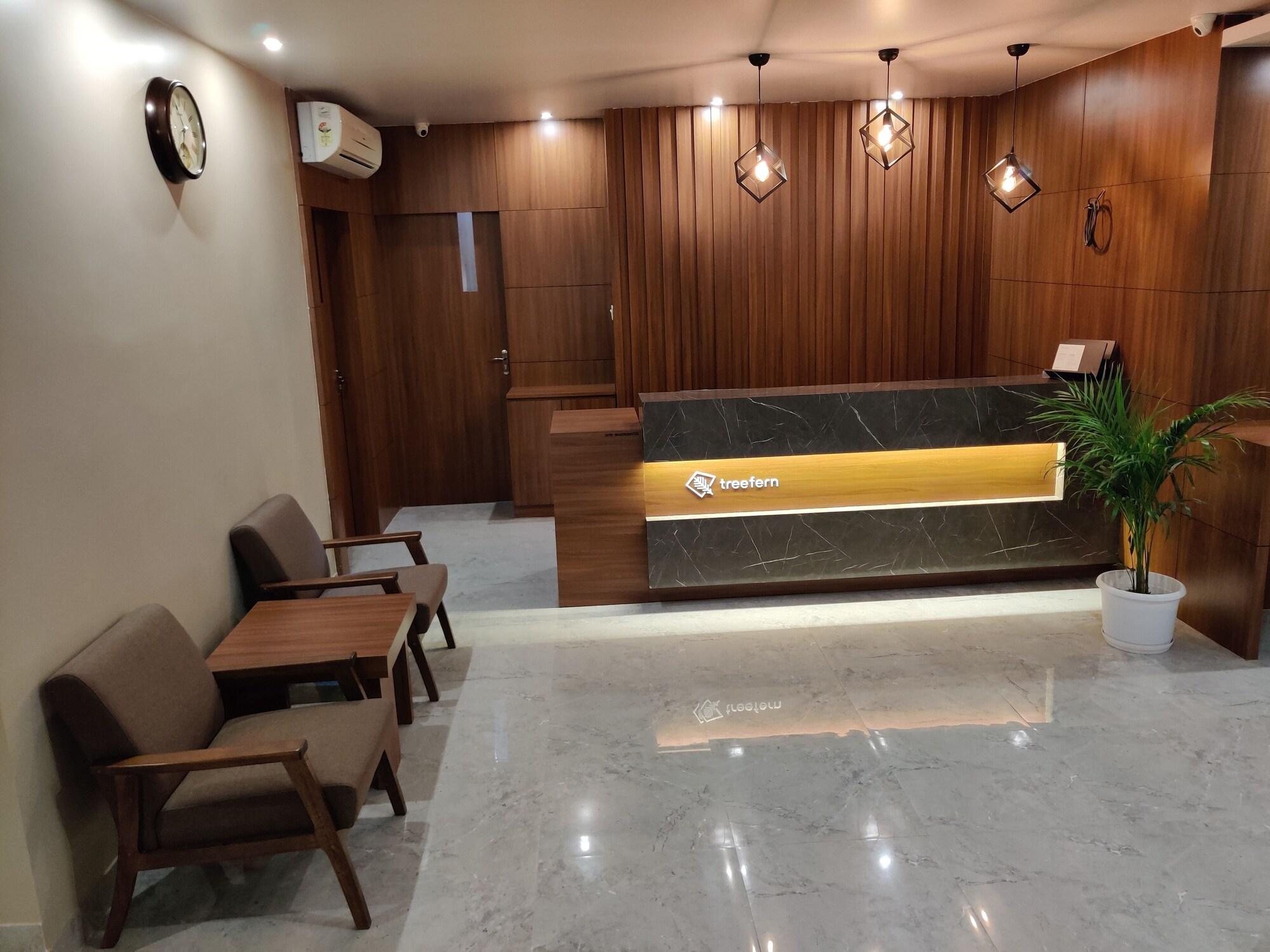 Vista Lobby Hotel Tree Fern