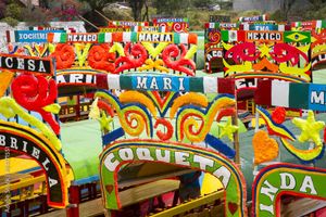 Actividad - Visita Xochimilco y Coyoacán con traslados desde punto de encuentro-MEX
