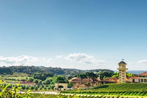 Actividad - Excursión al Vale dos Vinhedos