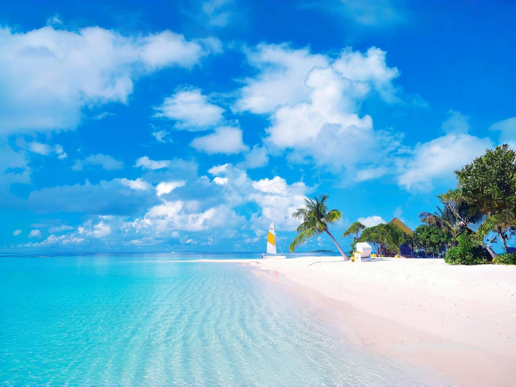 Playa Meet Holiday Hotel