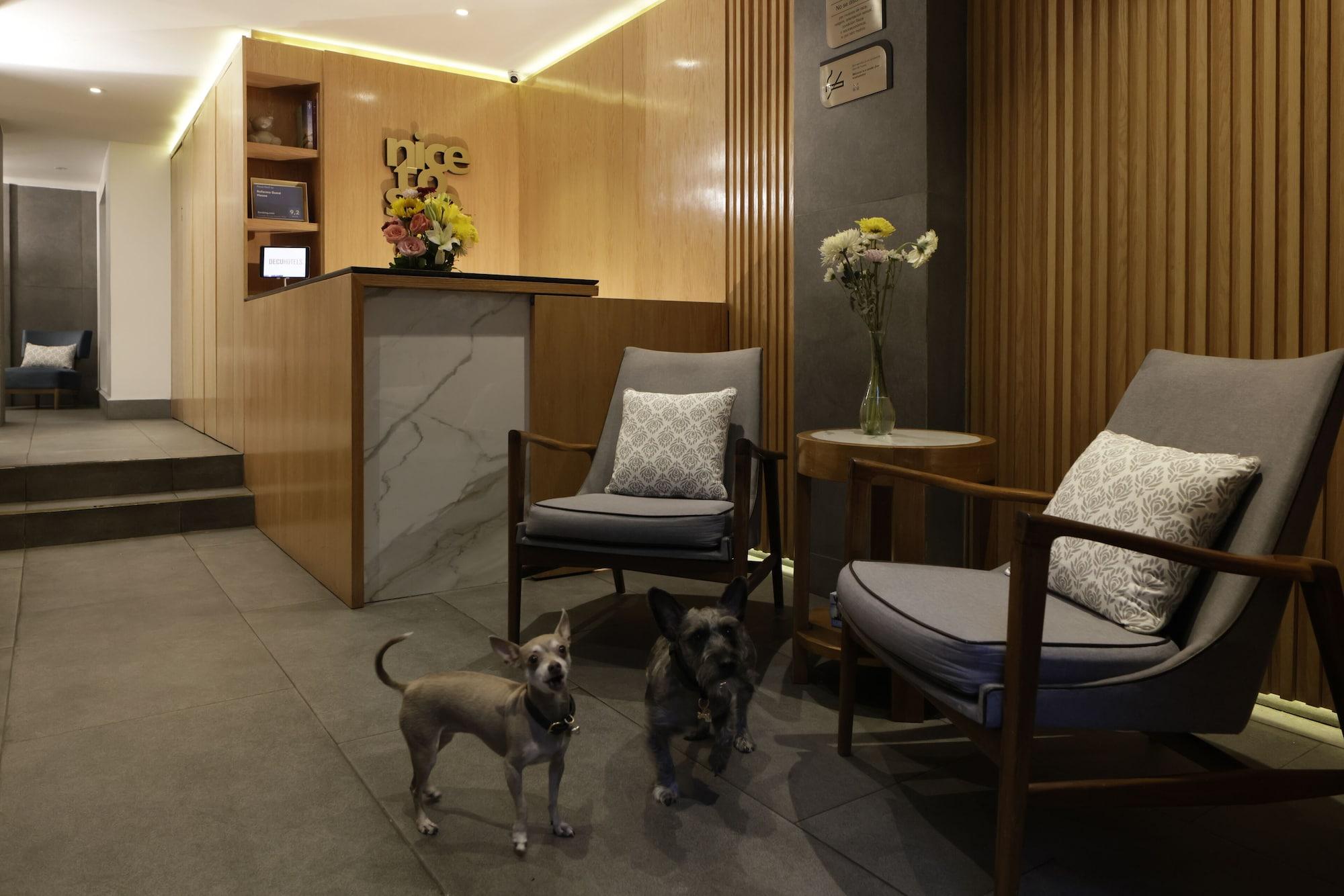 Vista Lobby Reforma Guest House