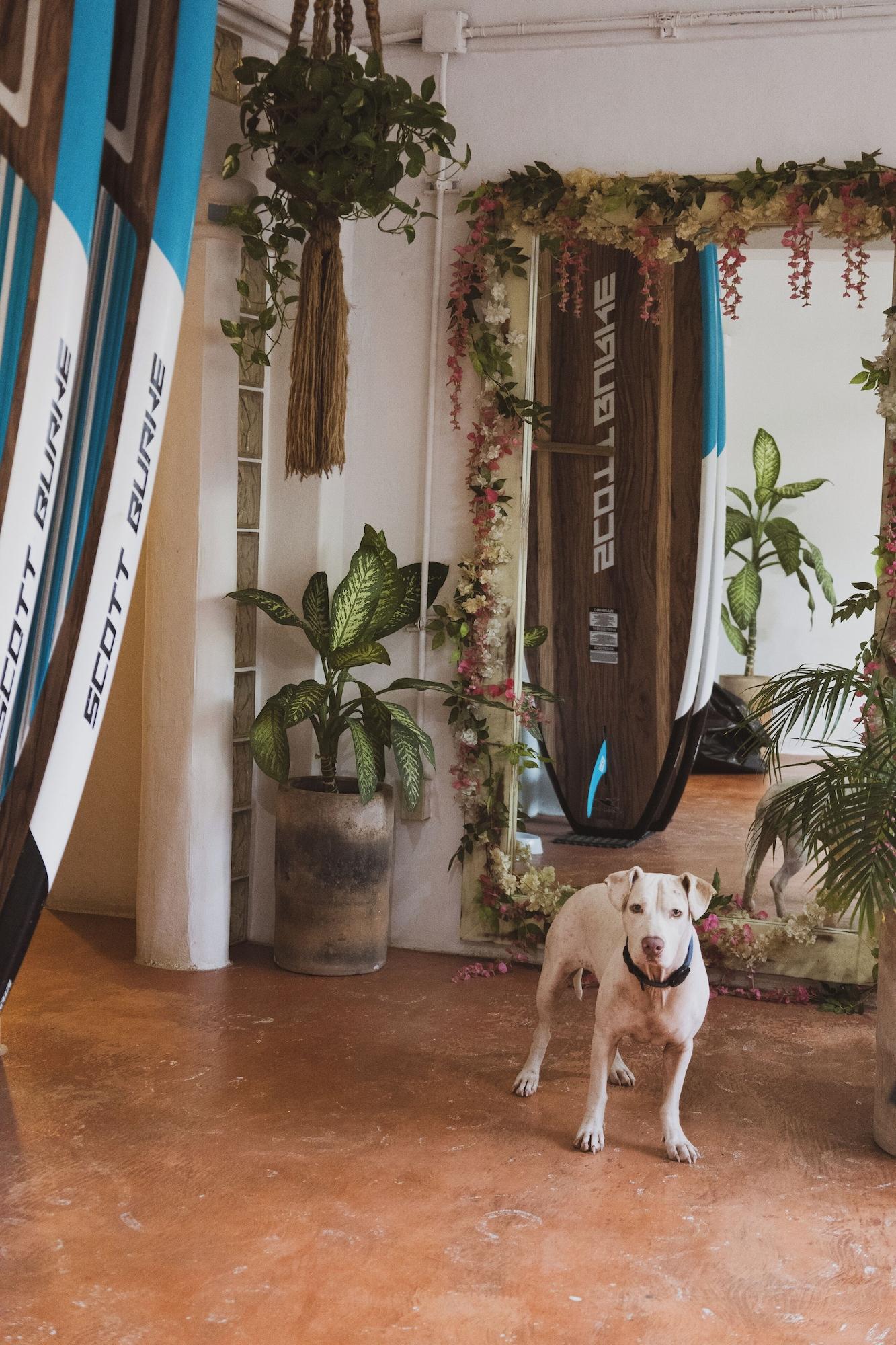 Vista Lobby Sayulita Central Hotel