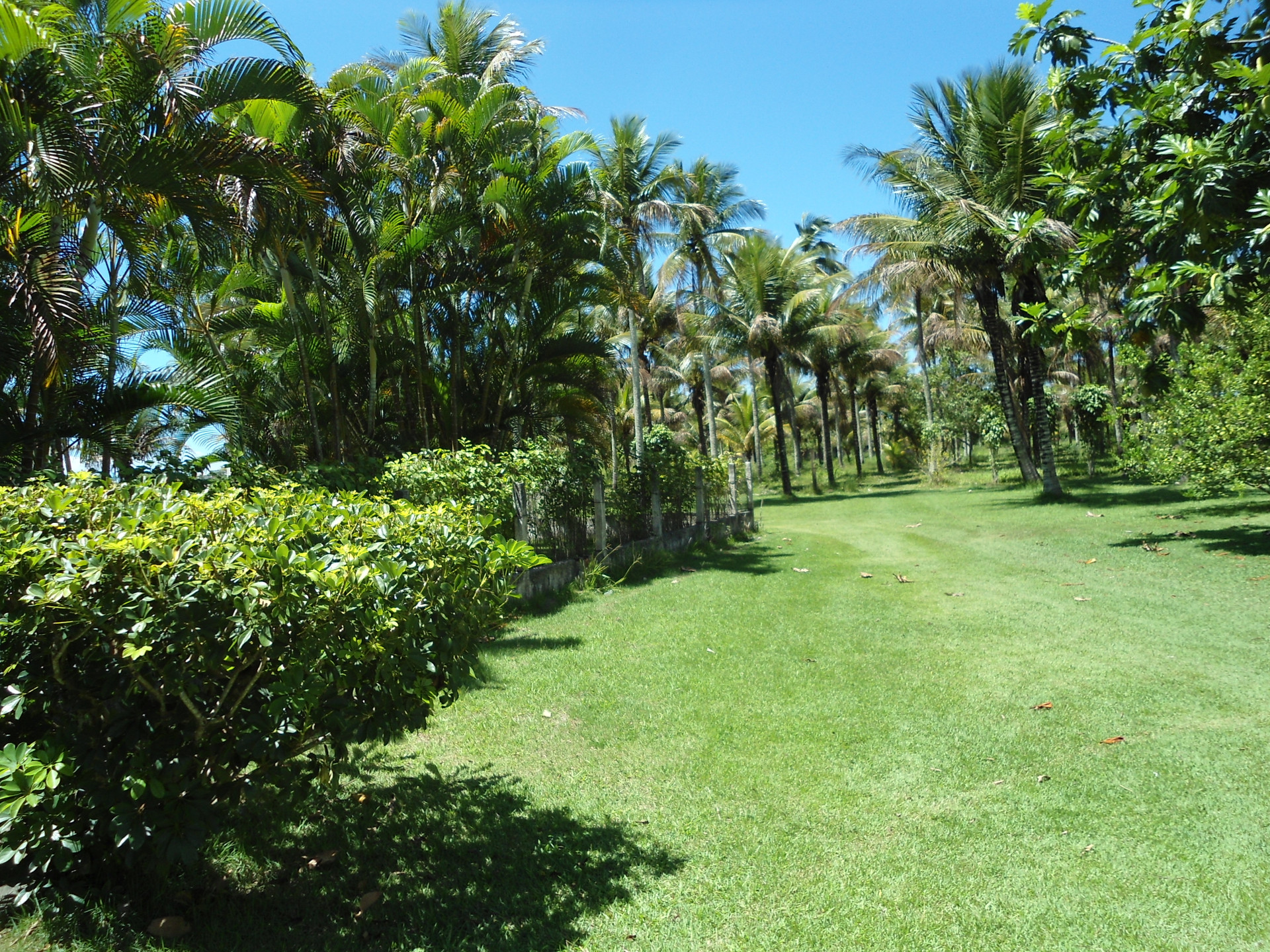Comodidades del Alojamiento Chácara de veraneio