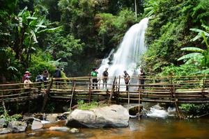 Actividad - Chiang Mai: Doi Inthanon y Pha Dok Siew