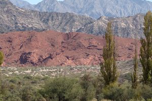 Actividad - Tour por los pueblos de la costa riojana