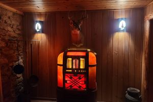 Alojamiento - Pinewoods Springs Lodge and Three Story Silo on Pond and 220 forested acres.