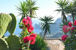 Alojamiento - Neranya