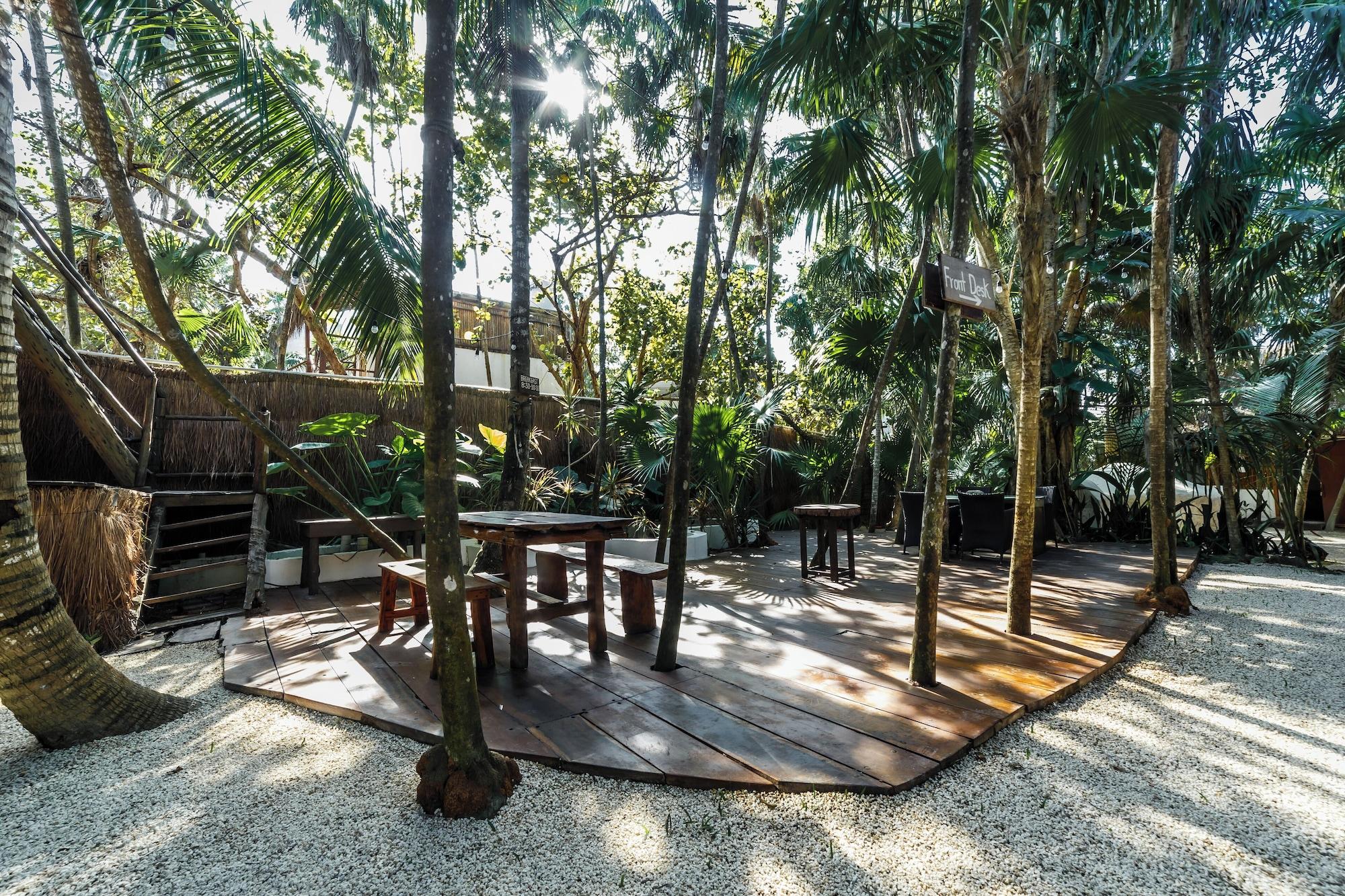 Restaurant Eco.Bañitas