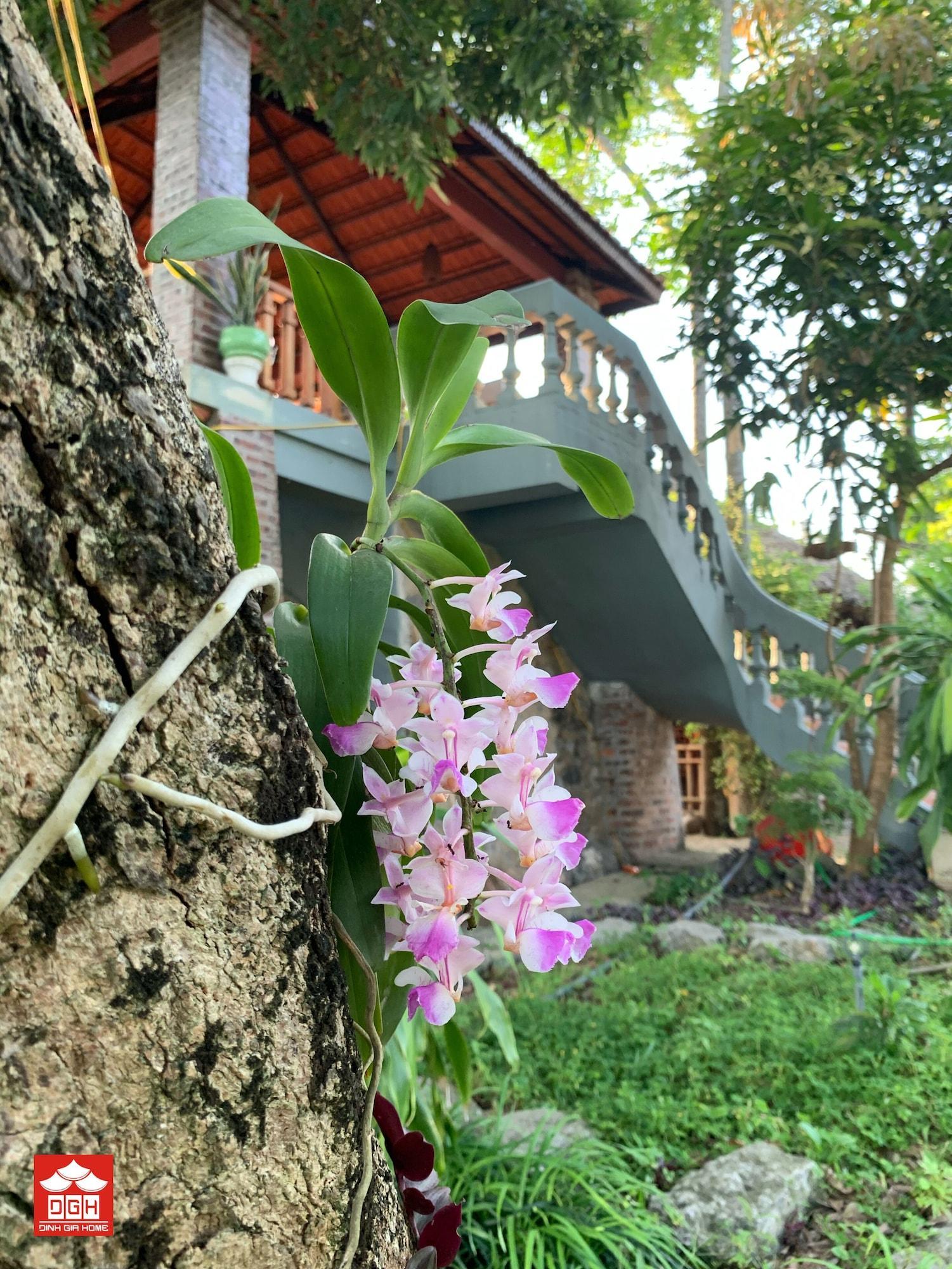 Vista Exterior Dinh Gia Home