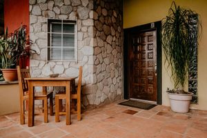 Alojamiento - The Golden Frog Inn