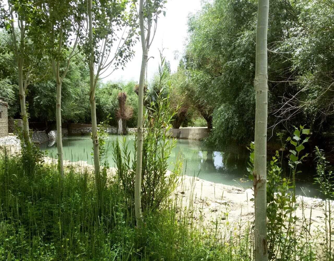 Varios The Kart Sey Ladakh