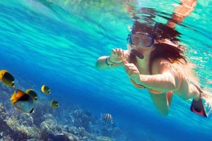 Actividad - Snorkel en Acapulco