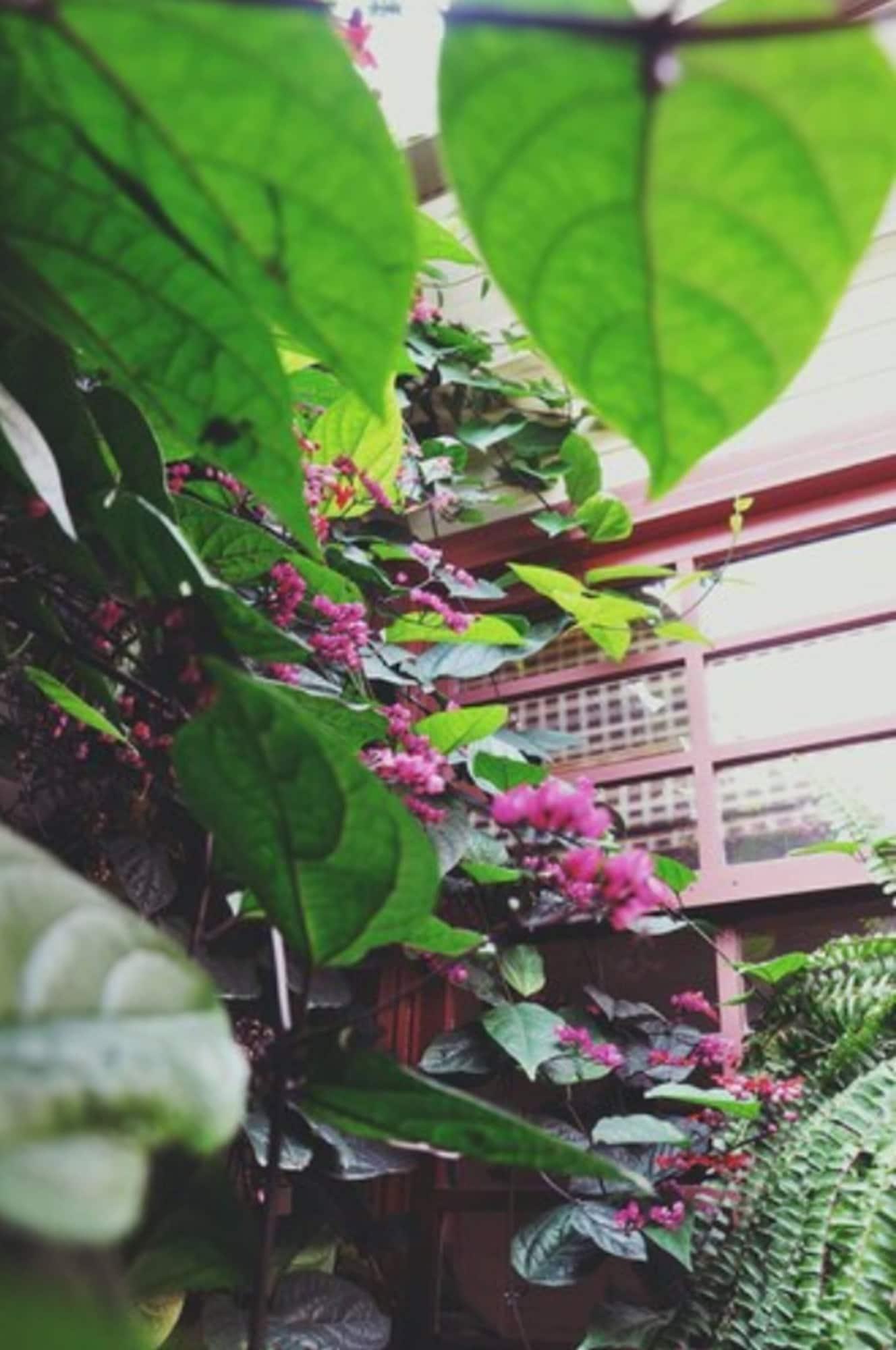 Vista Exterior Hotel Aranjuez