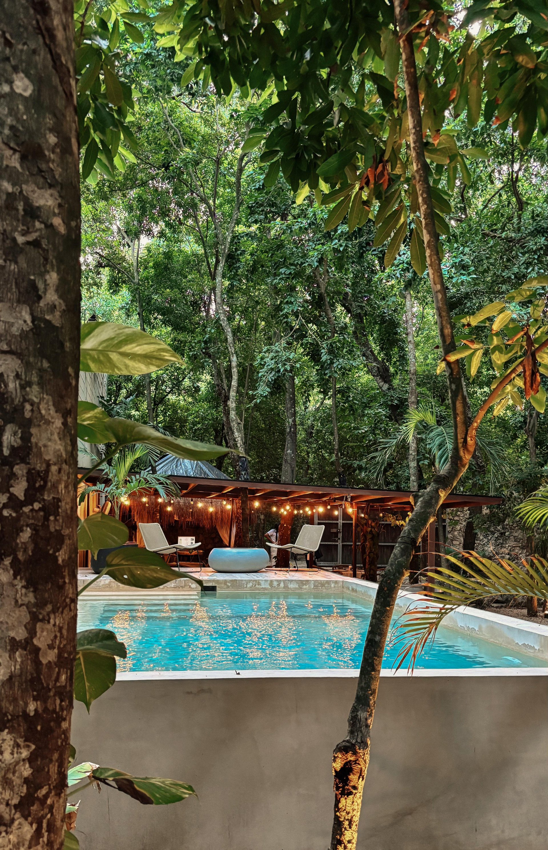 Vista Piscina Terasu Riviera Maya Hotel & Spa