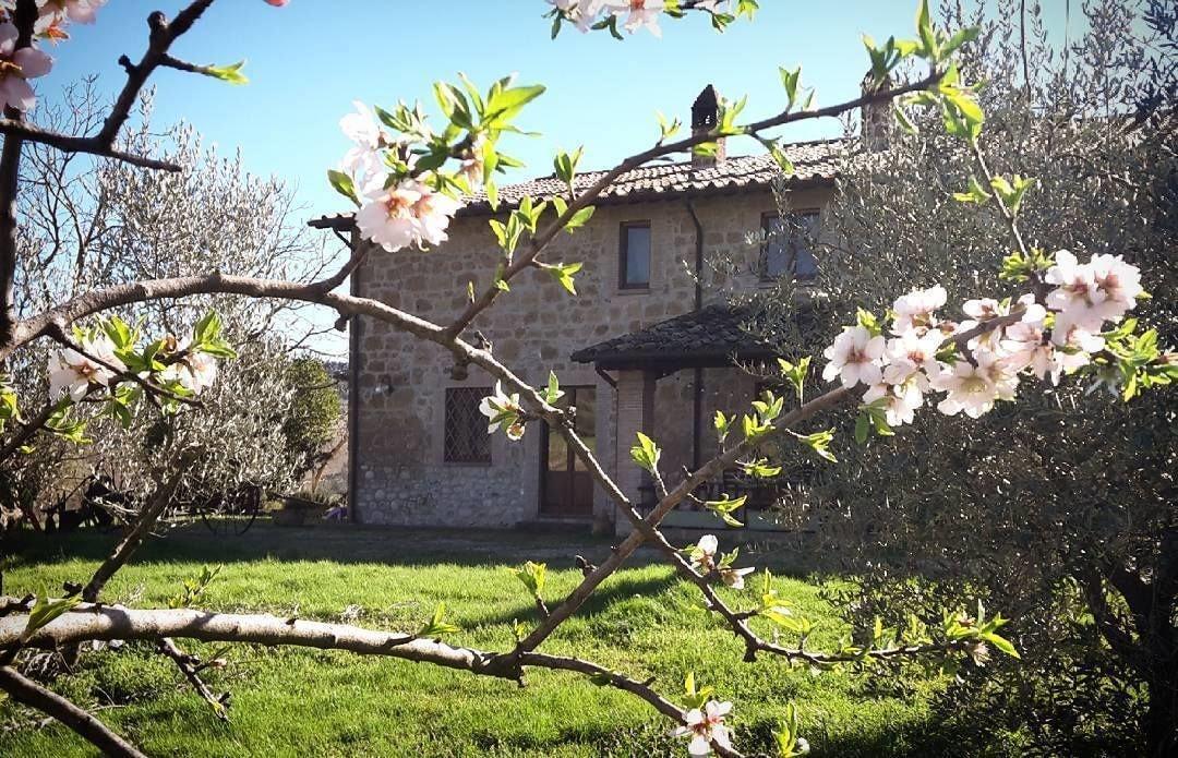 Varios Agriturismo Cioccoleta