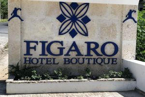 Paquete - Figaro Hotel Boutique
