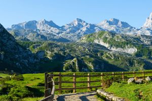 Actividad - Excursión a los Picos de Europa: Mogrovejo, Santo Toribio y Potes
