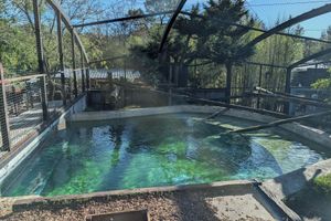 Alojamiento - Night Experience By Zoo Bordeaux Pessac