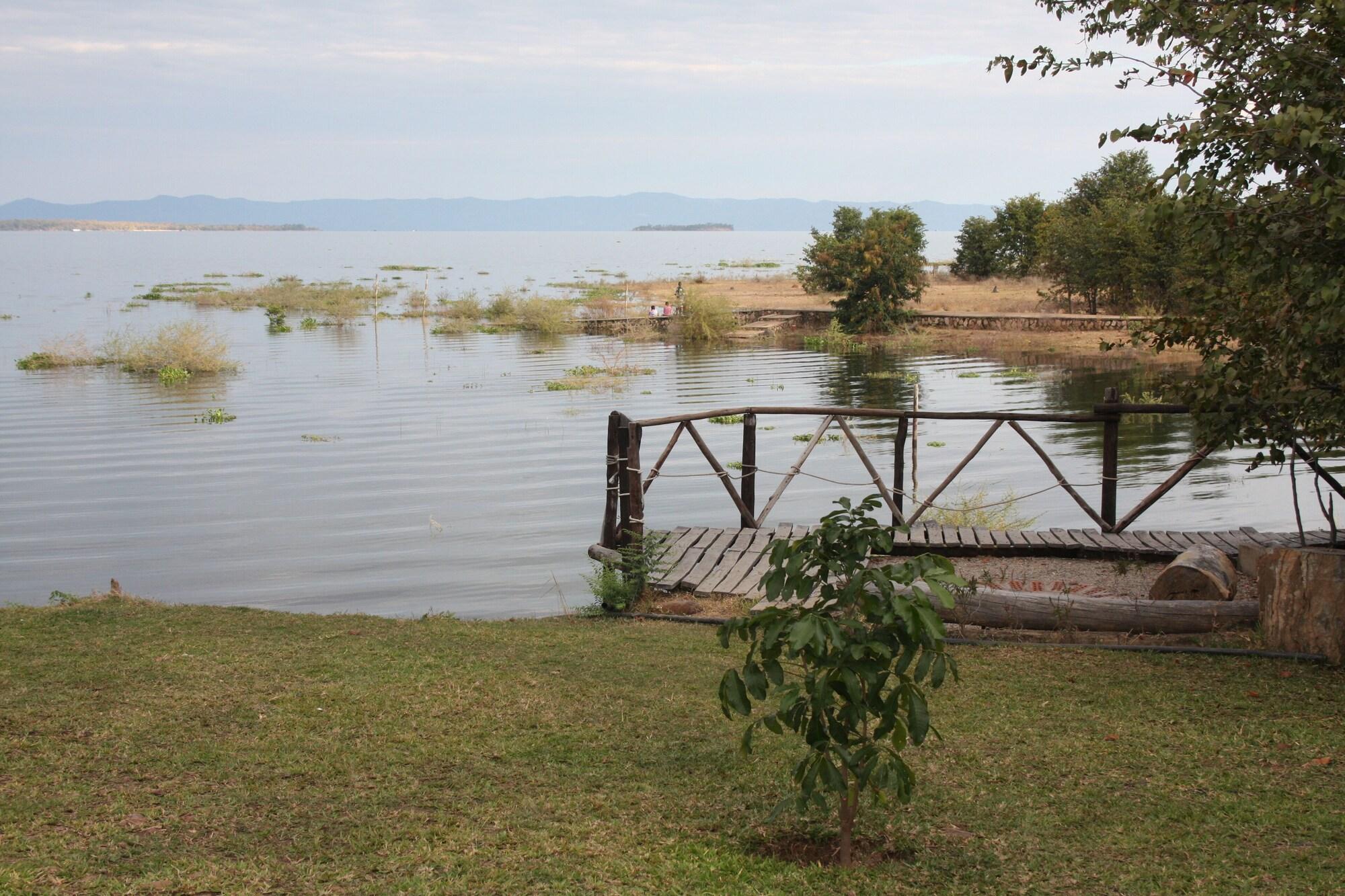 Varios Warthogs Safari Camp